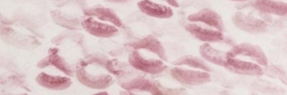 sweetsummersss's profile banner image