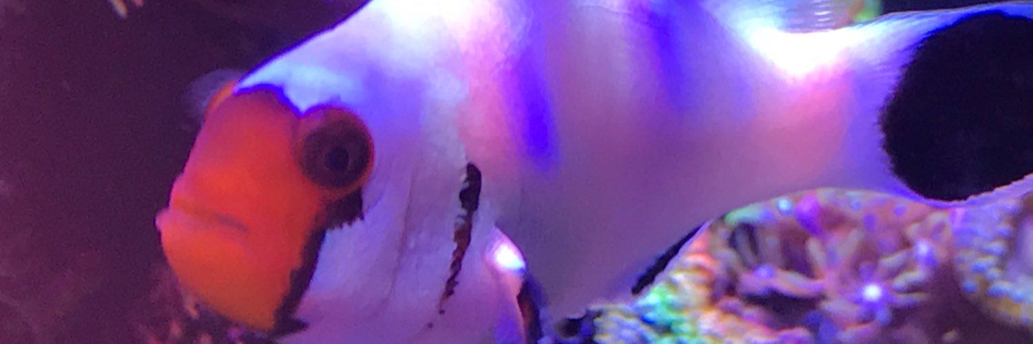 PatrickGHartley's profile banner image