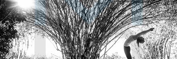 vanjaNesto's profile banner image