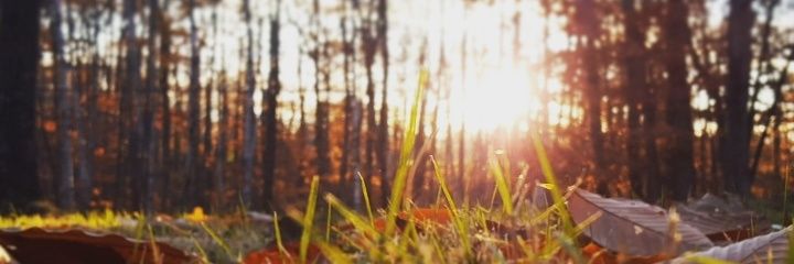 StaplesJacob's profile banner image