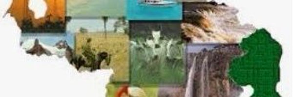 JuniorH1987 Profile Banner