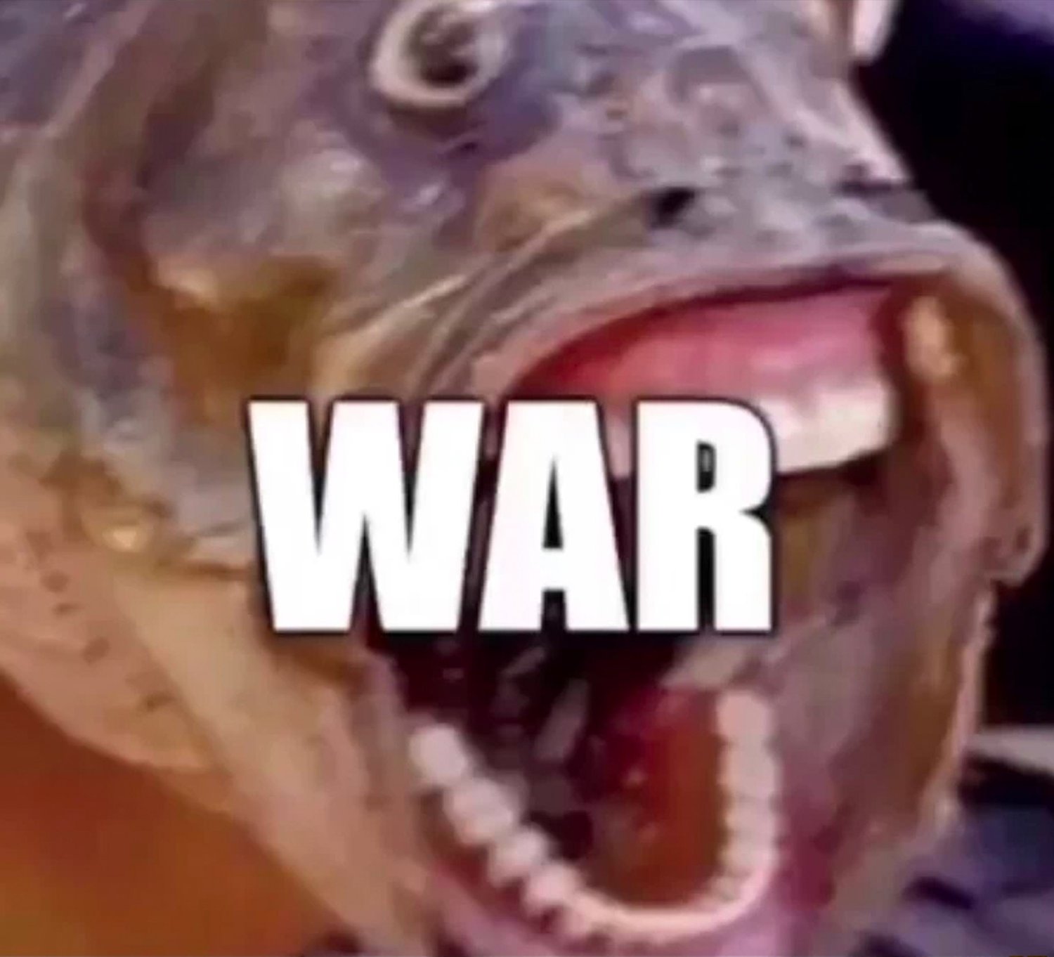 greatvaluepepper banner