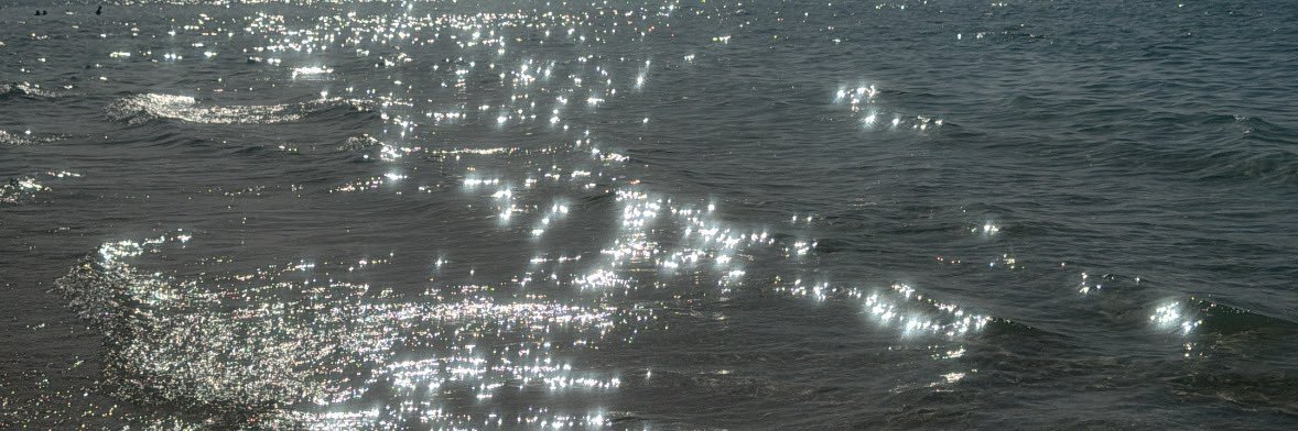 maithany banner