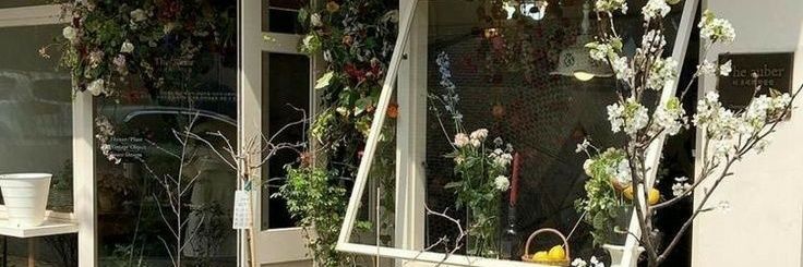 cat cafe manager banner