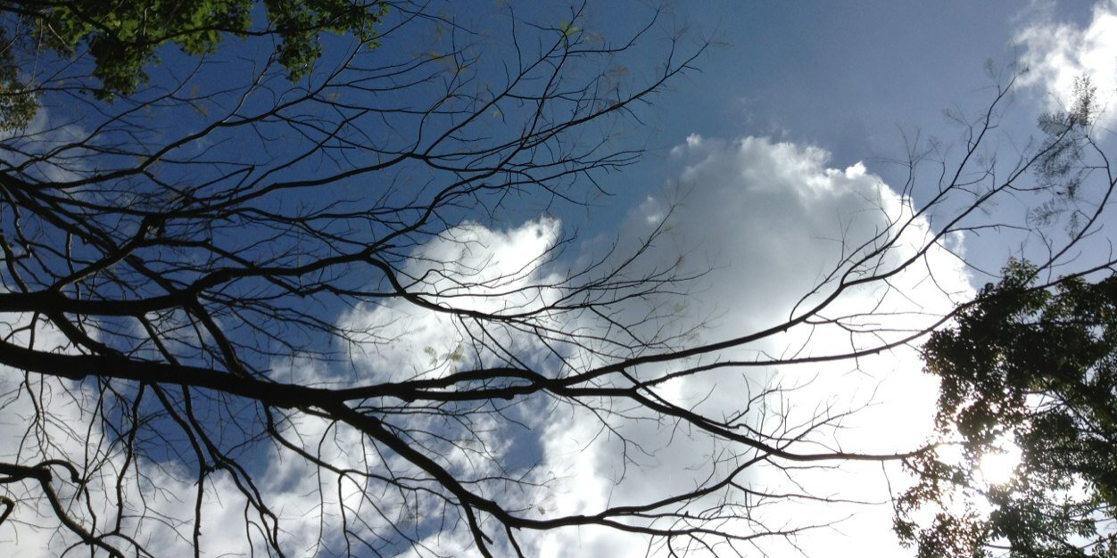 naaadyah's profile banner image