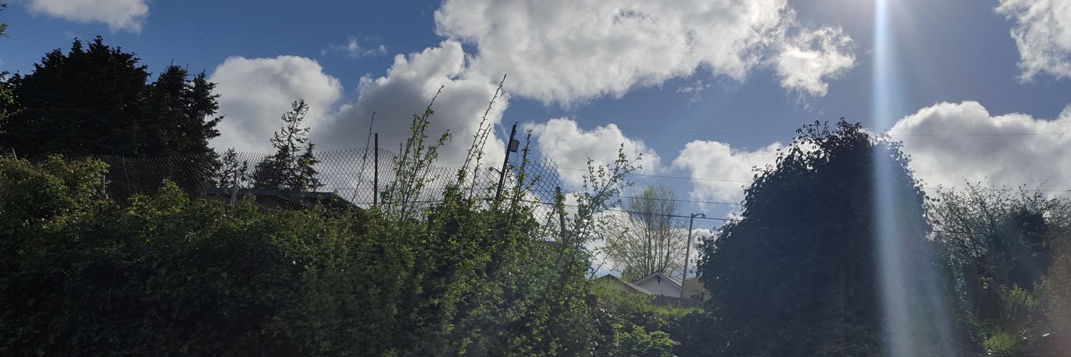 MariaCone2's profile banner image