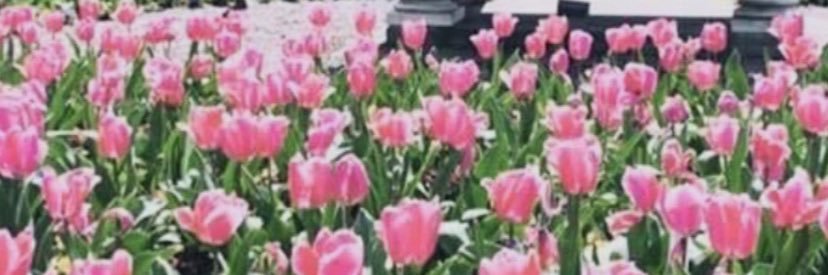 Bailey_Griffinn's profile banner image