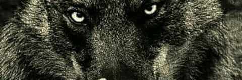 hectorgtzm's profile banner image