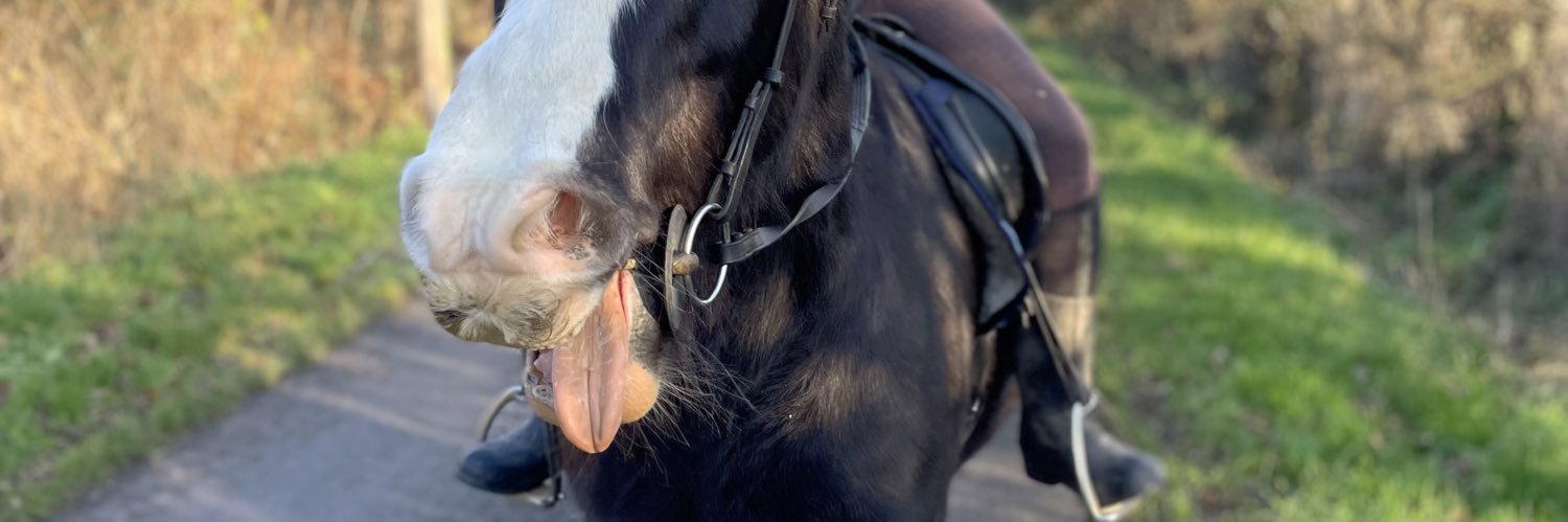 SalLintott's profile banner image
