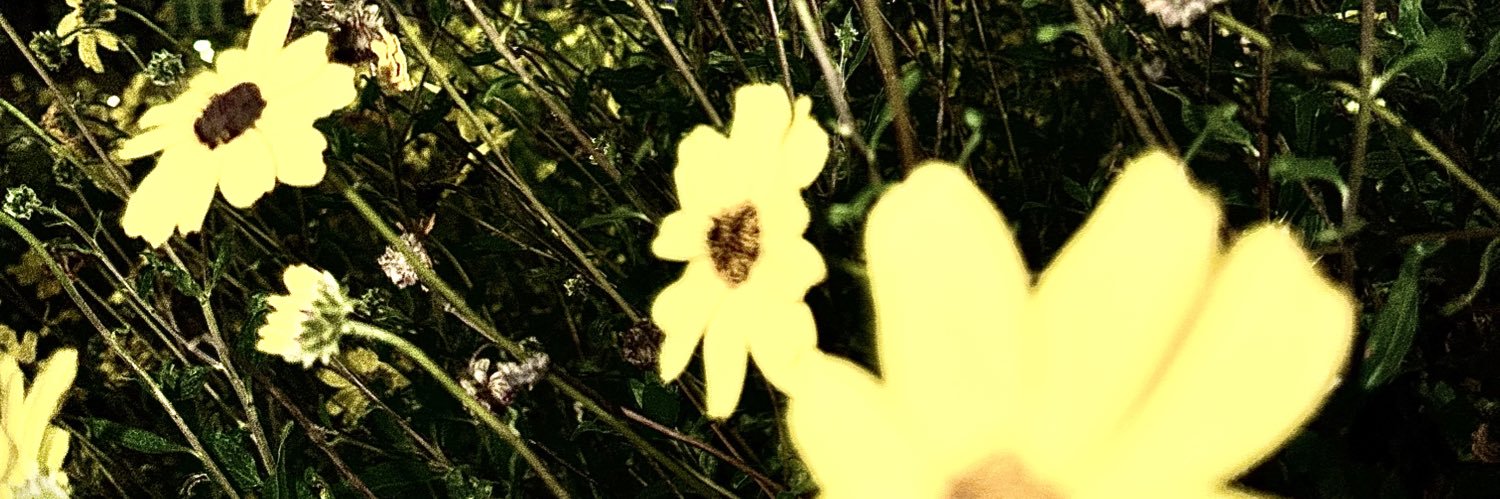 Steven O’Ren banner