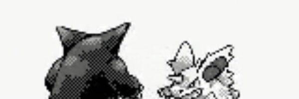 MichiGengar Profile Banner