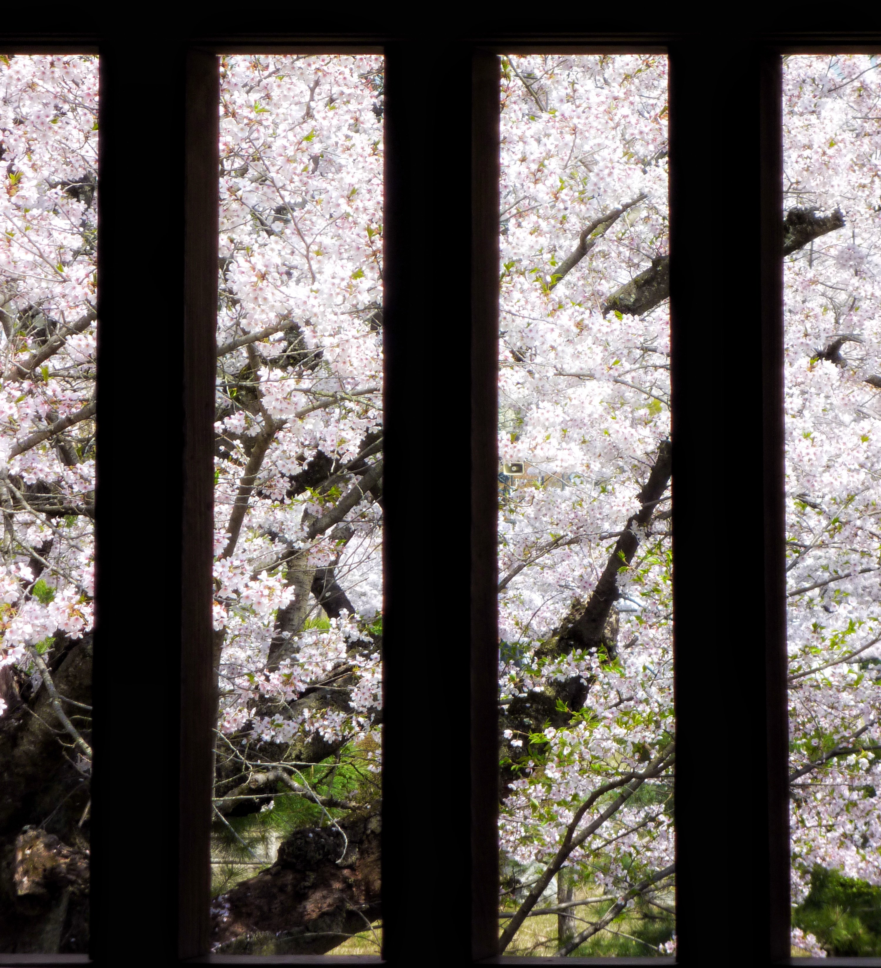 hydeetako's profile banner image