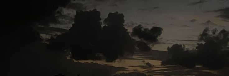 delfiastorga's profile banner image