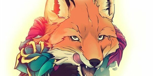 __Z16__'s profile banner image