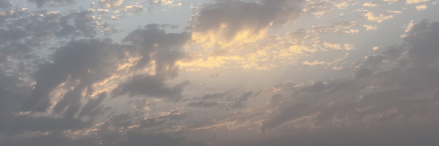 madenguee's profile banner image