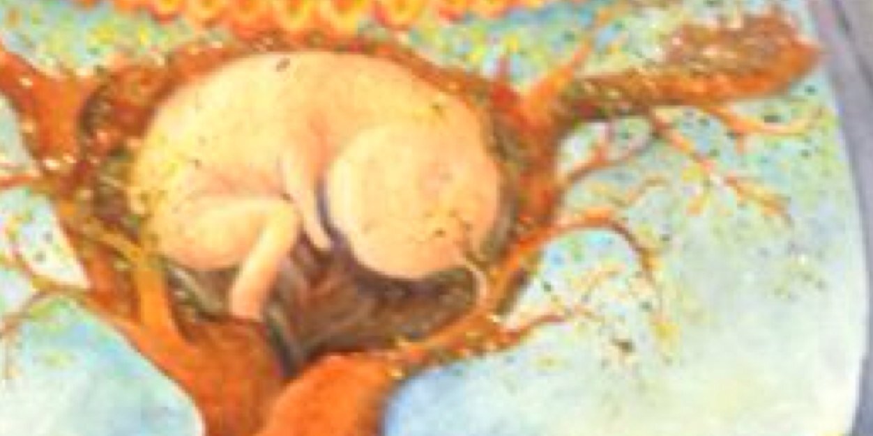 algodonrosado's profile banner image