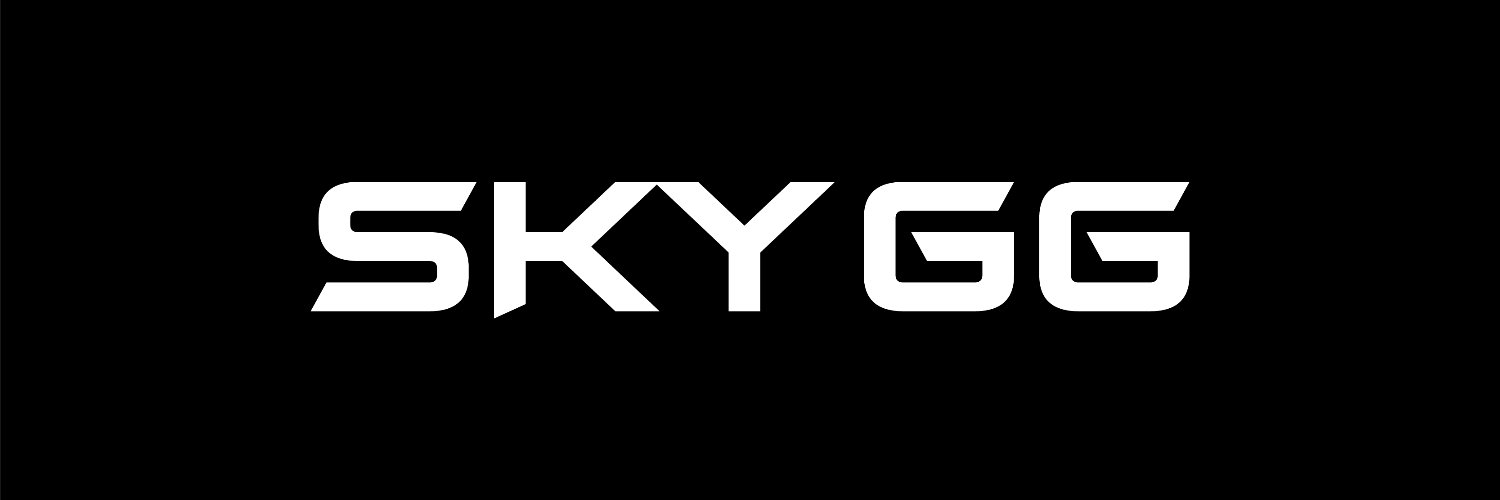 SKYGG's banner