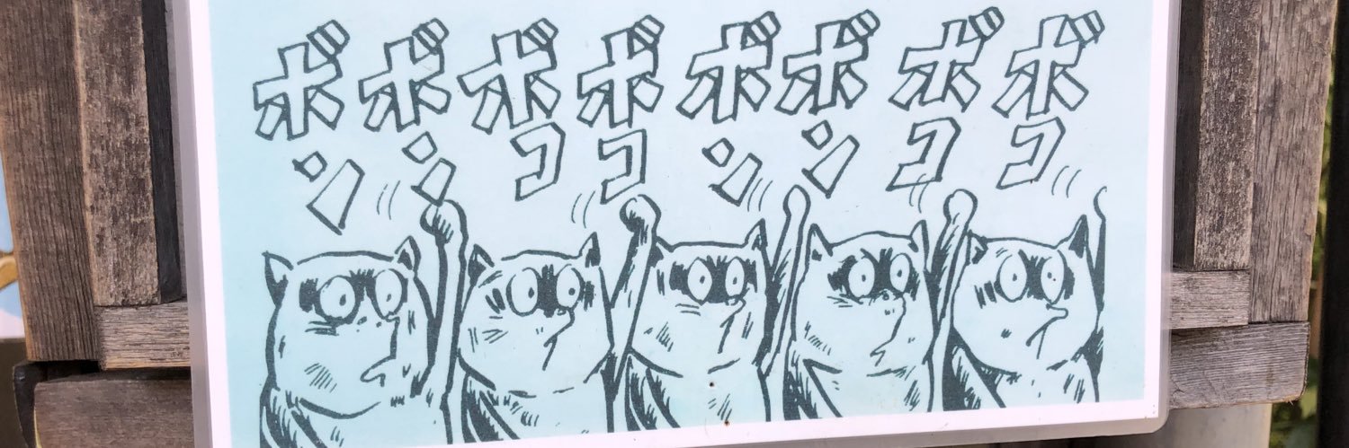 pokeki banner