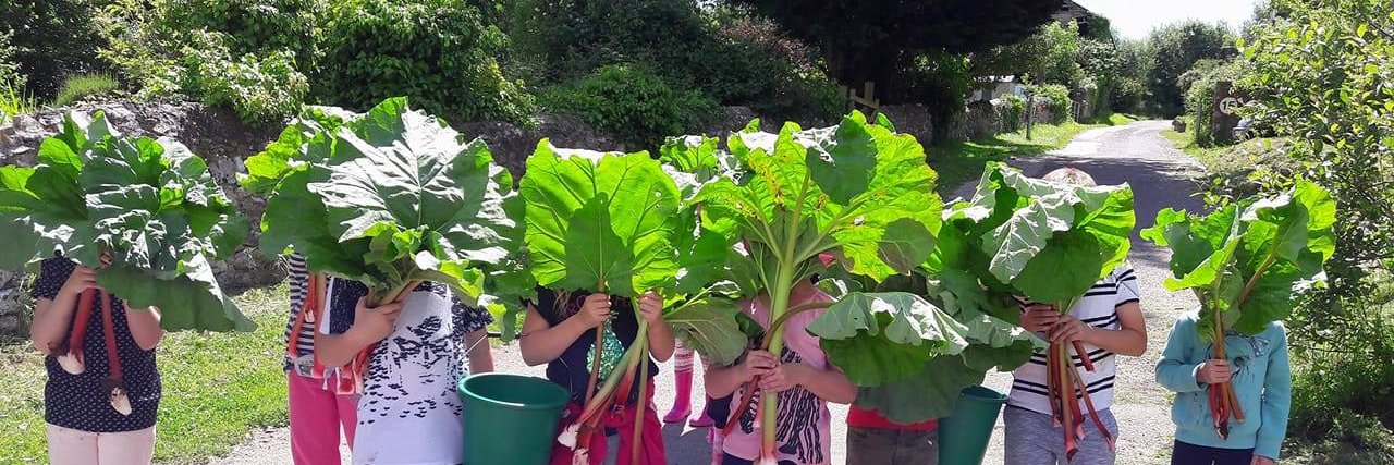 Magdalen Farm banner