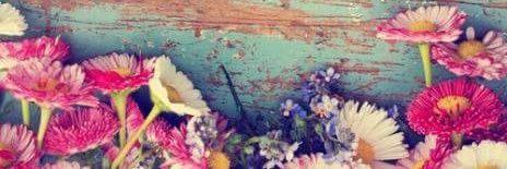 AnaArmentaR's profile banner image