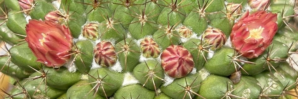 隨心 大叔（陳師傅按摩紓壓） banner