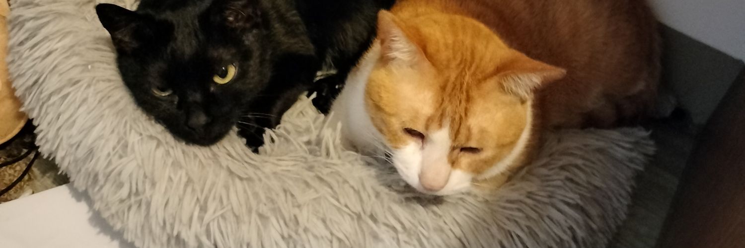 a83051959's profile banner image