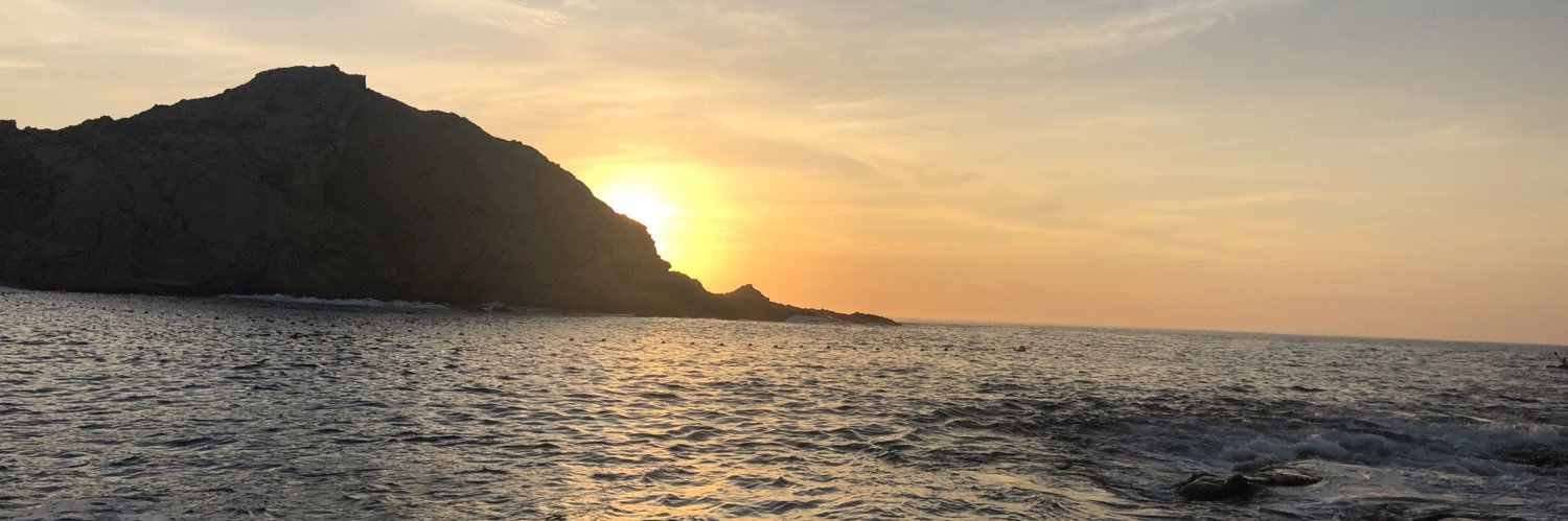 Carlos Antillon banner