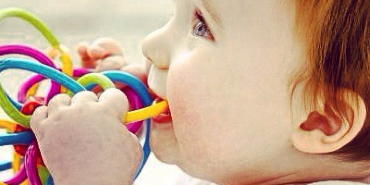 GymboreeMiami's profile banner image