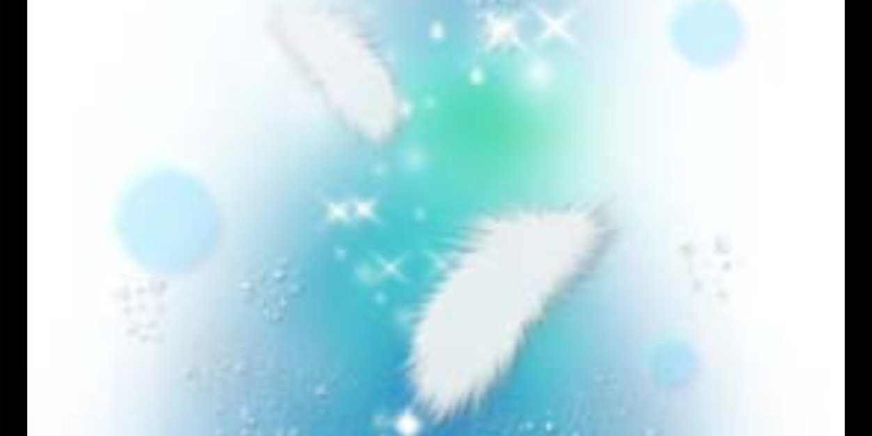 hachi banner