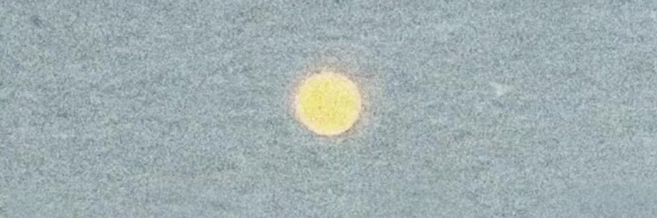 muljun 🐸 banner