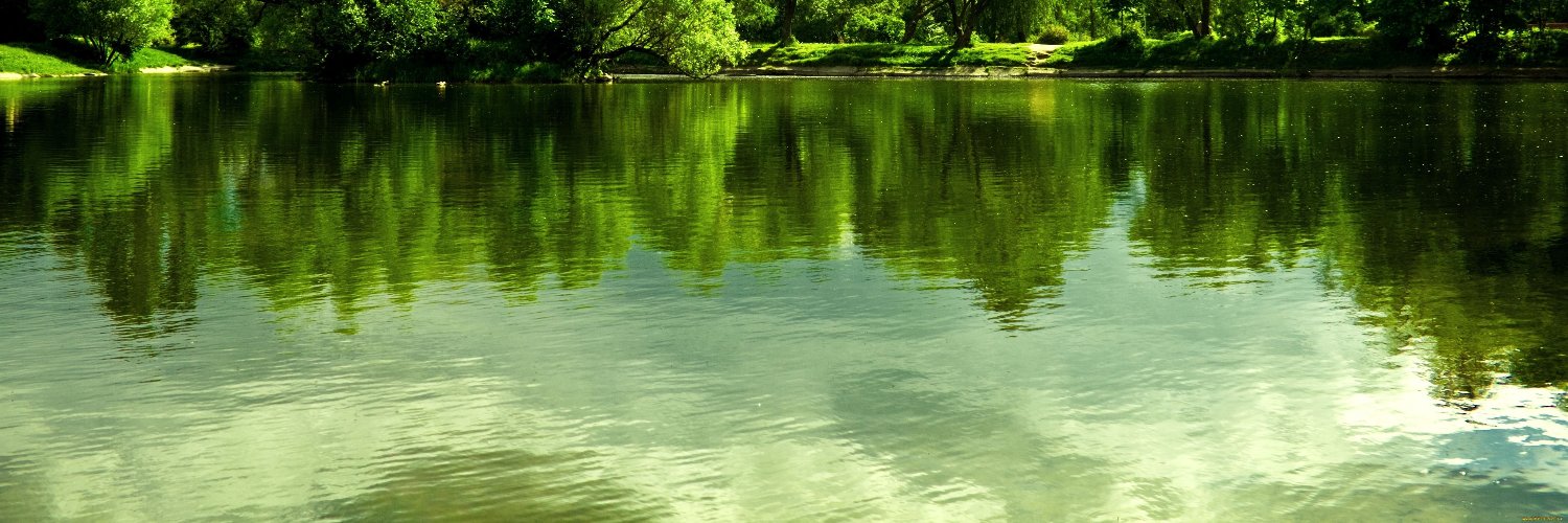 DeloresShy's profile banner image