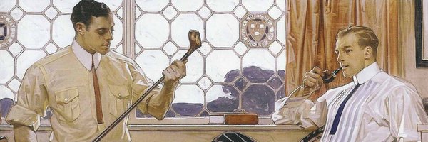 zmavli Profile Banner