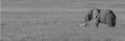simplelogical's profile banner image