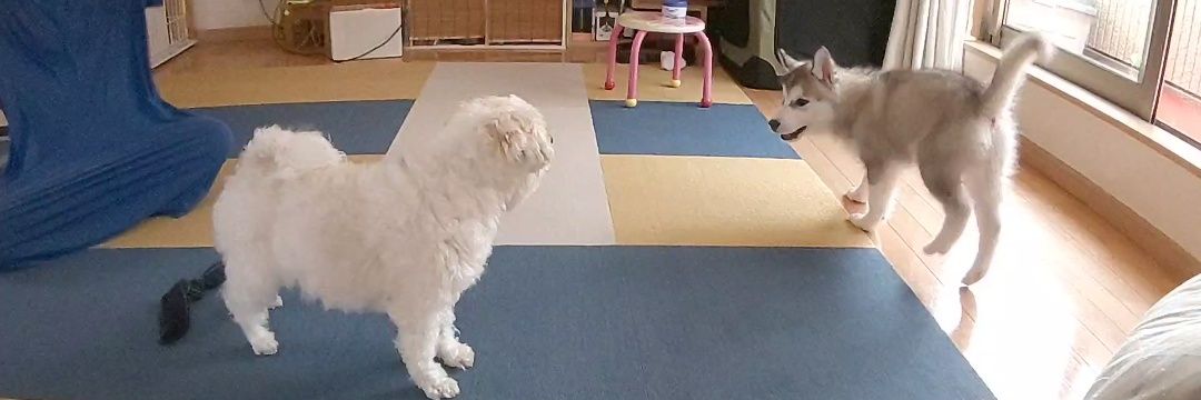 ⚝ろん&ティニー⚝ banner