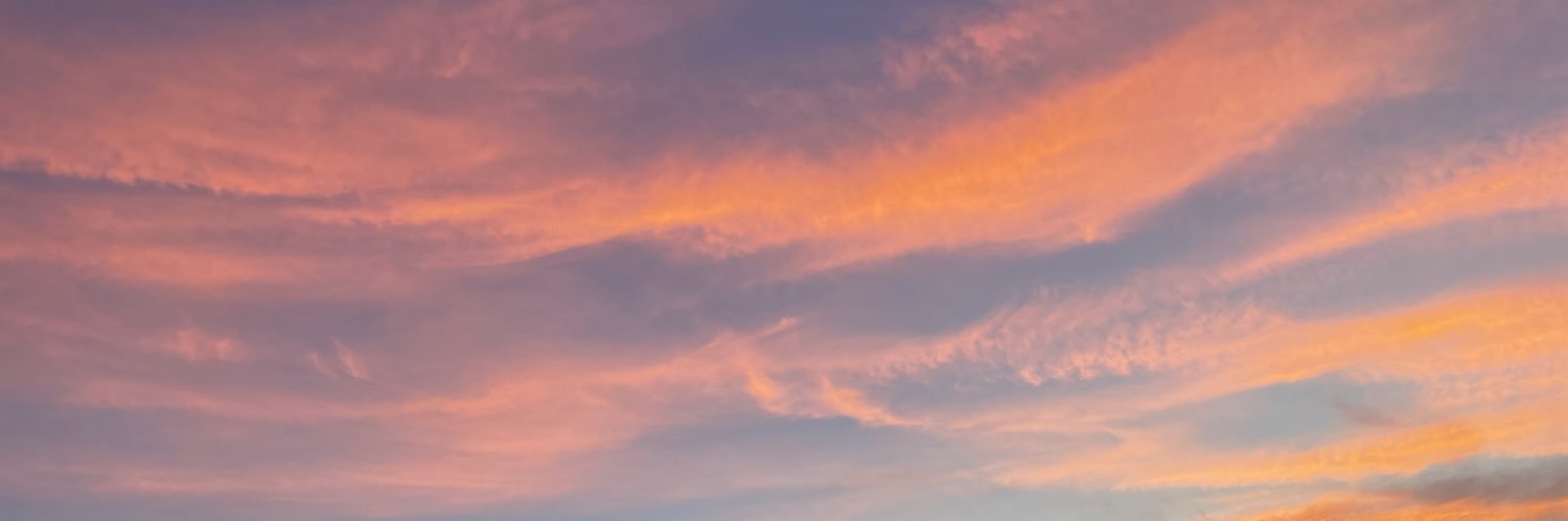 bravoella's profile banner image