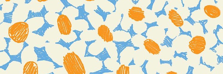 dannitp's profile banner image