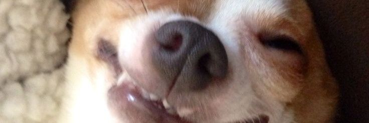 kuimwangii1's profile banner image
