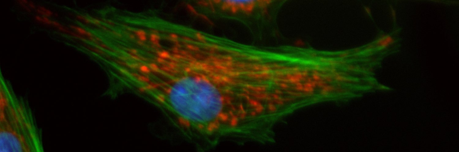 Tapasree Roy Sarkar (Sarkar Lab) banner