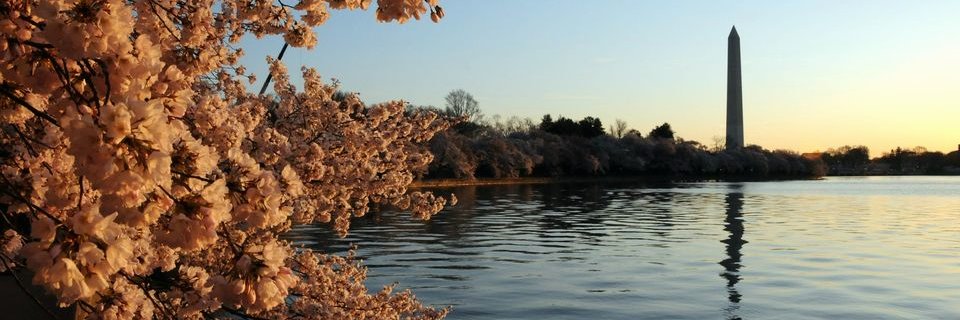 CharlizeStone5's profile banner image
