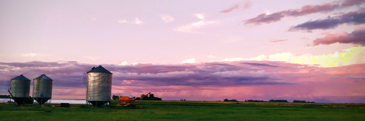 ManucaCh's profile banner image