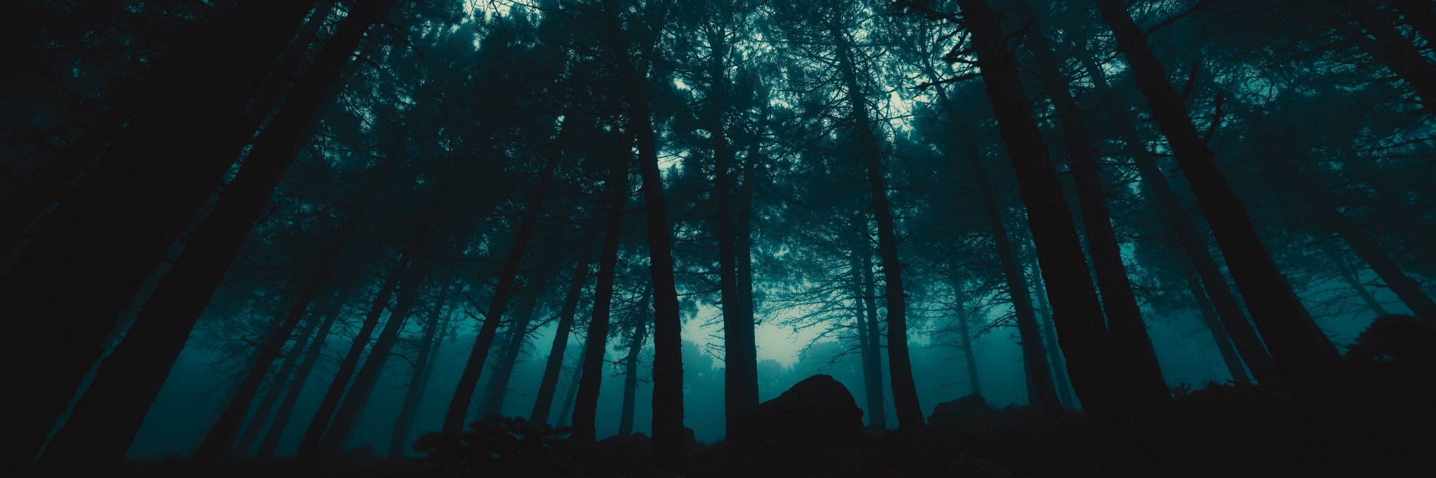 Danilo Fabrizio banner