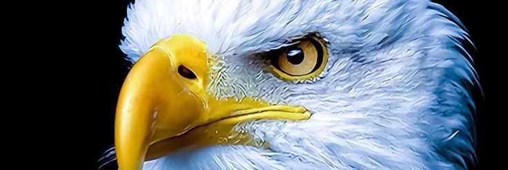 LukasLins's profile banner image