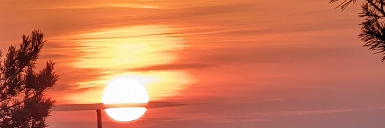 Pellefazz's profile banner image