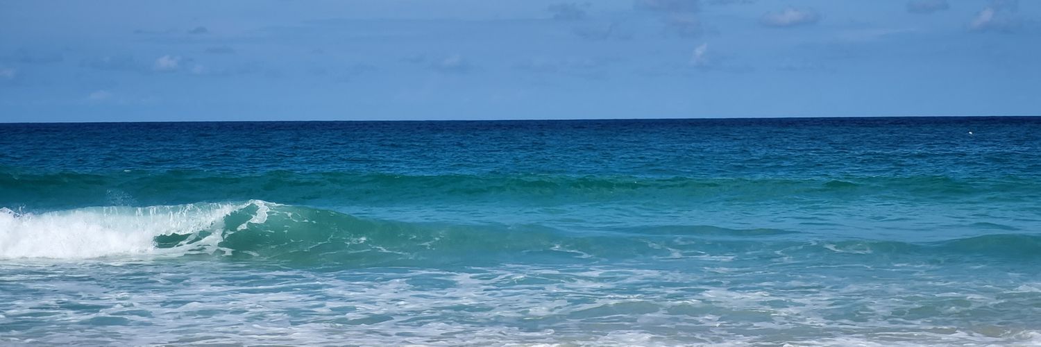 agenthunt's profile banner image