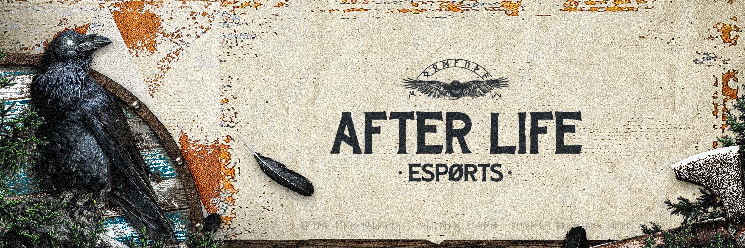 After Life Esports banner