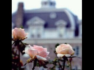 saroonh_323's profile banner image