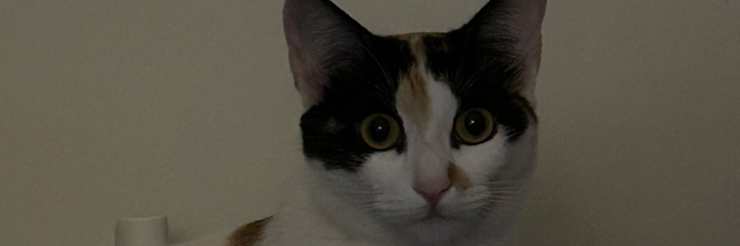 _apoteose's profile banner image
