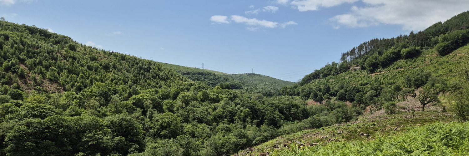 Cllr Cen Phillips 🔶️🏴󠁧󠁢󠁷󠁬󠁳󠁿 banner