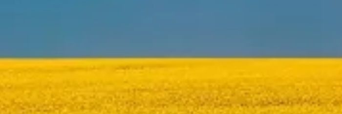 fgdv55's profile banner image