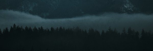 karstenfroemm Profile Banner